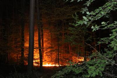 Opnieuw een natuurbrand: groot stuk grond in brand in Arnhem