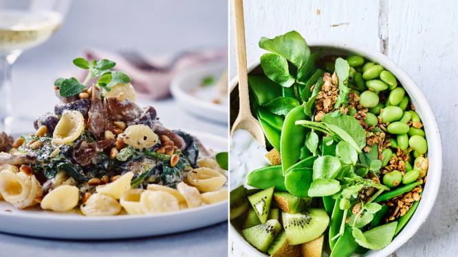 Van pasta met champignonsaus tot salade met tuinbonen en hartige granola: 5 gerechten van het HLN Eten-weekmenu die je graag wil uittesten