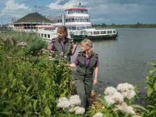 Toename toeristen in de Biesbosch: ‘Natuur kan veel hebben en wordt hier zelfs groter’