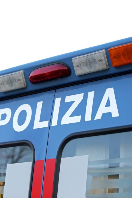 Un bébé tué par deux pitbulls en Italie: “Les chiens ont arraché l’enfant des bras de son oncle”