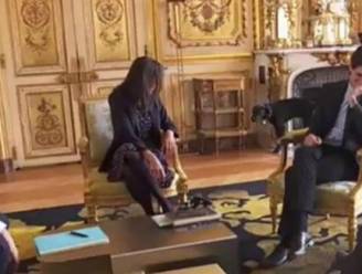 Hond van Macron plast tegen open haard tijdens meeting