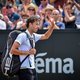 Beperkingen Haase en Bertens aan het licht gebracht