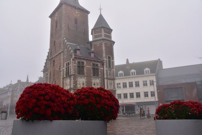 De uitgegooide chrysanten werden zondagvoormiddag door omwonenden opnieuw in de bloembakken geplaatst op de Markt van Tielt.