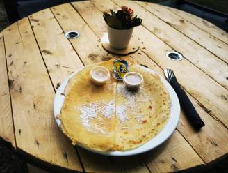 Dolfijntje for Life houdt pannenkoekenslag voor goed doel