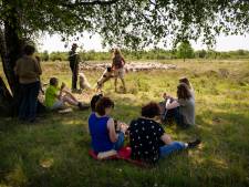 Met deze romantische wandeling in Haaksbergerveen kom je alles te weten over een schaapskudde: ‘De leidgeit heeft een bel en gps’