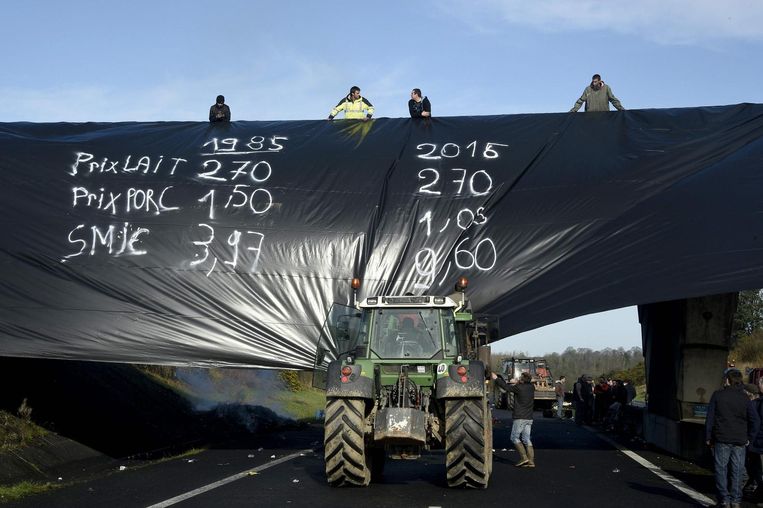 Franse boeren protesteren tegen lage prijzen en crisis in de agrarische sector. Beeld AFP
