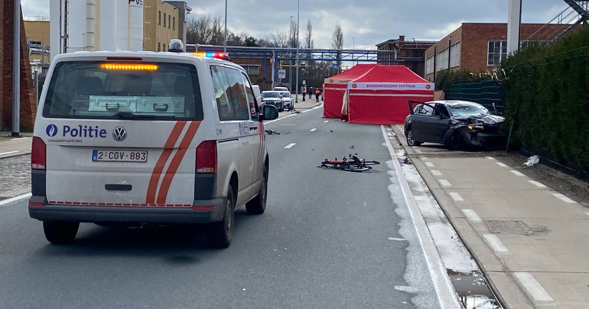 Twee wielertoeristen overleden bij aanrijding met auto in Gent: bestuurder was onder invloed.