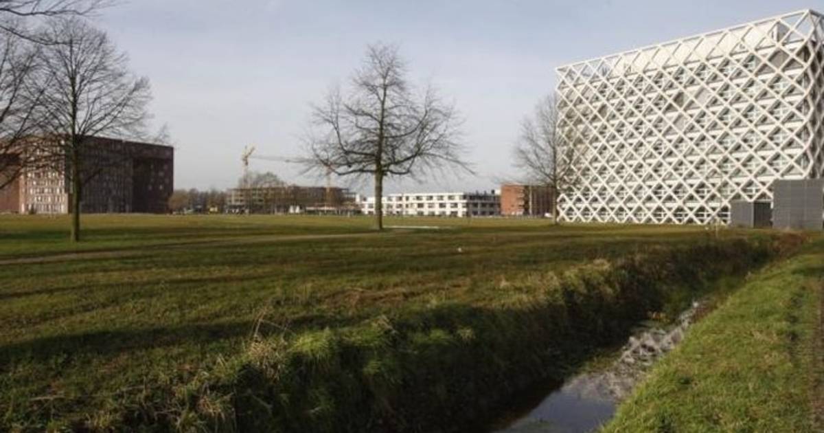 China op één voor Wageningen UR De Vallei gelderlander.nl