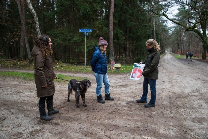 Boswachter Anouk Ballot van Natuurmonumenten waarschuwt wandelaars Maike van der Linden (met muts op) en haar zus Anita van der Linden (lang donker haar) en hond Spat tijdens hun wandeling op het Grote Veld. Er zijn balletjes gehakt gevonden waar punaises in zijn verwerkt, levensgevaarlijk voor het wild en honden.