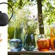 Saai balkon wordt groene oase: de mooiste terrasspullen