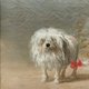 Het hondje hoeft maar twee keer zijn pootjes te schrapen en Goya’s handtekening is verdwenen.