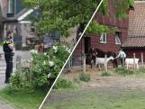 Kinderboerderij ontruimd door politie vanwege te veel bezoekers