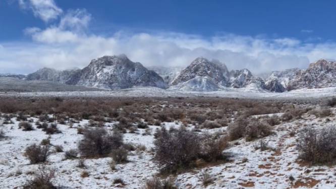 La neige recouvre le désert de Red Rock Canyon, près de Las Vegas