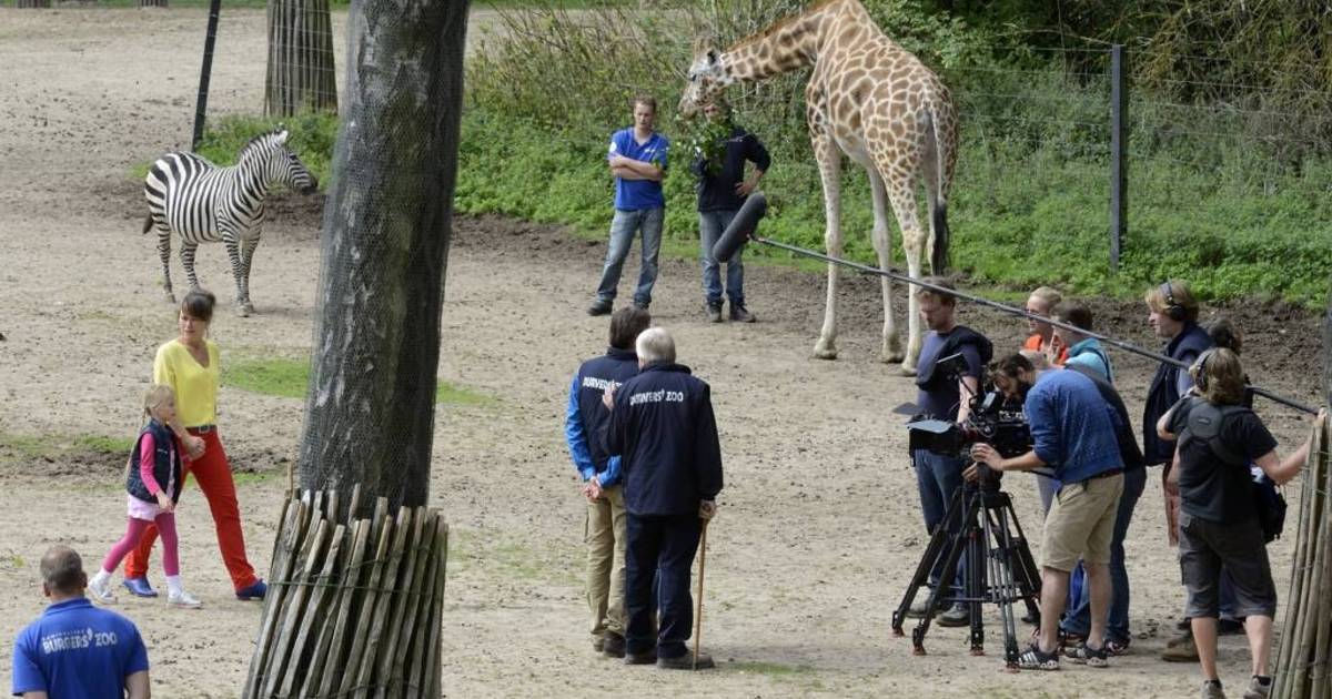 Het samengeraapte zooitje achter The Mo dook met Nancy succesvol de golf  van de new wave in