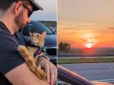 Amerikaans koppel schenkt terminale kat Max nog laatste bijzondere moment