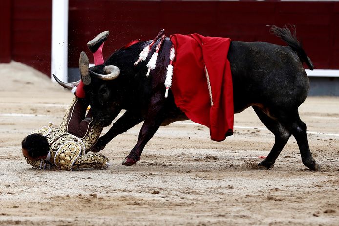 El Cid raakte zwaargewond bij het stierengevecht in Madrid.