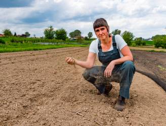 Prof waterbeheer: “Laat het nu maar twee maanden regenen of we komen deze zomer écht in de problemen”