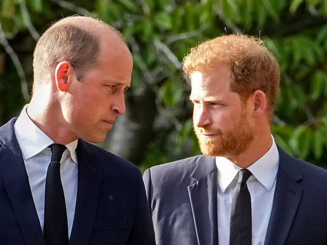 Alle pogingen tot verzoening tussen Harry en William mislukt: "Prins William wist broer uit zijn geheugen”