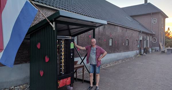 Te koop: gekoelde aardbeien, uit een automaat | Berg en Dal - De Gelderlander