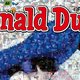 Donald Duck is jarig! Wist je dat de eerste edities door Margriet werden samengesteld?