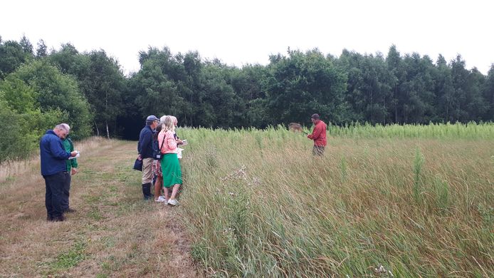 De Vlinderwerkgroep van De Torenvalk tijdens een bezoek aan het Walbos in Kanegem