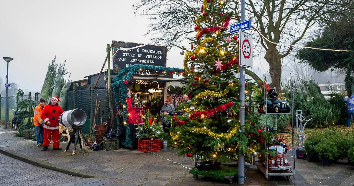 mensen zoeken een klik met een kerstboom rotterdam ad nl