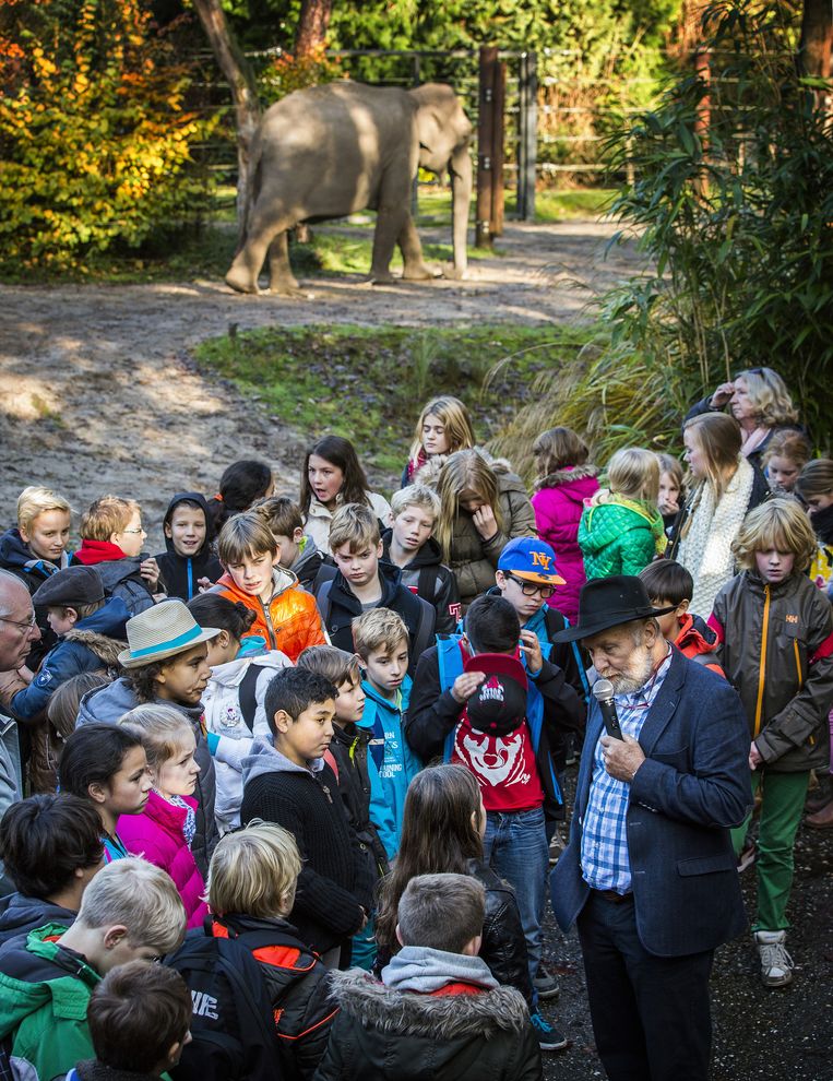 gebaar vasthoudend overschot Lessen in verlies: Zo, kinderen, rouwt een olifant | De Volkskrant