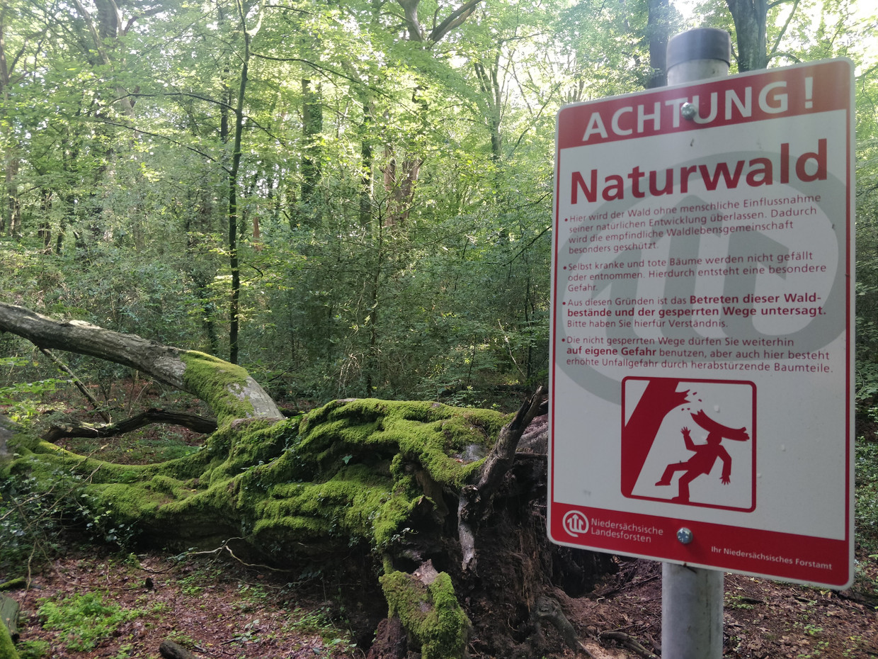 Waarschuwingsbord in het Neuenburger Wald, in het noorden van Duitsland. Beeld Patrick Jansen