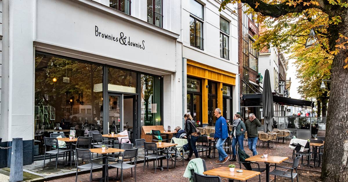 Brownies & Downies komt in Zutphen Zutphen destentor.nl