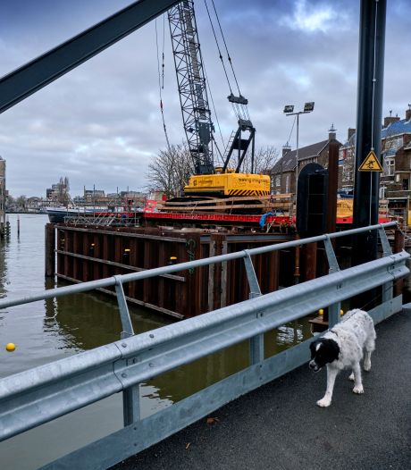 ‘Archiefonderzoek had problemen bij restauratie Engelenburgerbrug kunnen voorkomen’