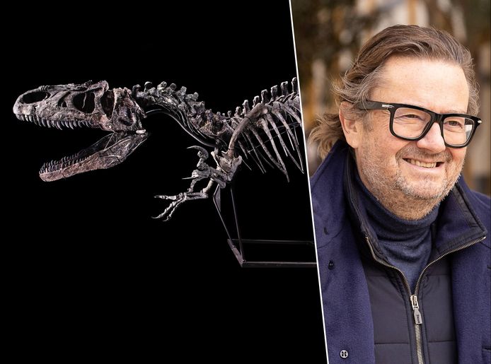 Drie jaar geleden ging dit skelet van een allosaurus in Parijs onder de hamer voor drie miljoen euro. Hoeveel Coucke voor zijn exemplaar neertelde is niet bekend.