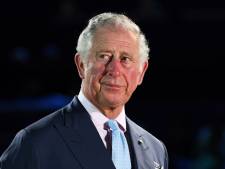 ‘Charles wil kleinere koninklijke familie, zonder Harry en Meghan’