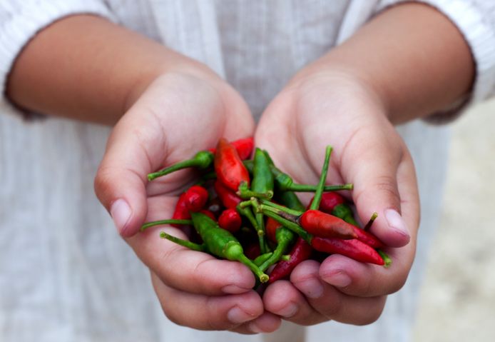 Hoe je hete peper uit je oog krijgt