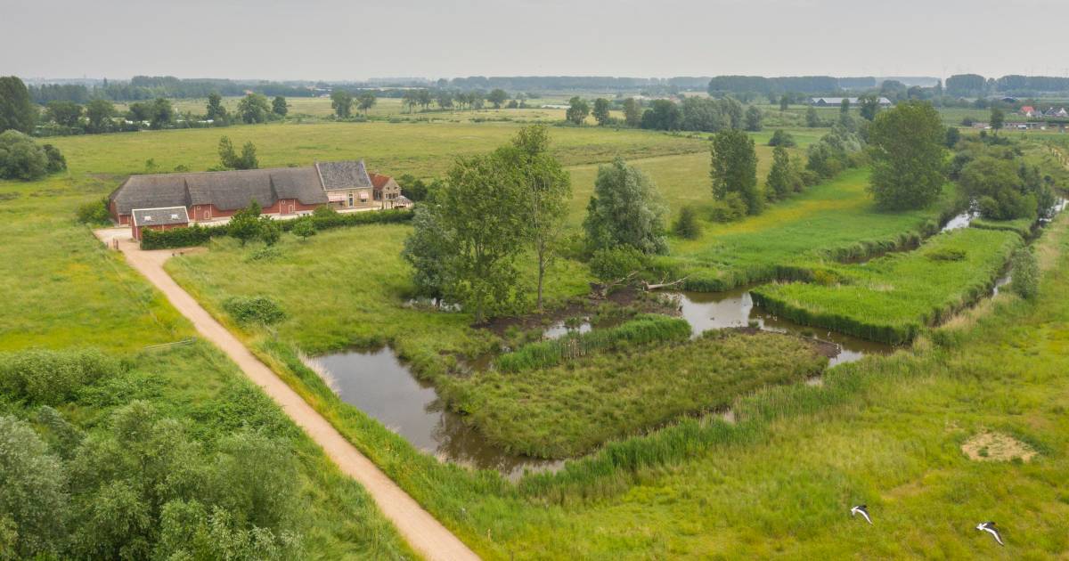 ‘De mooiste boerderij op de mooiste plek van heel Zeeland’ is te koop