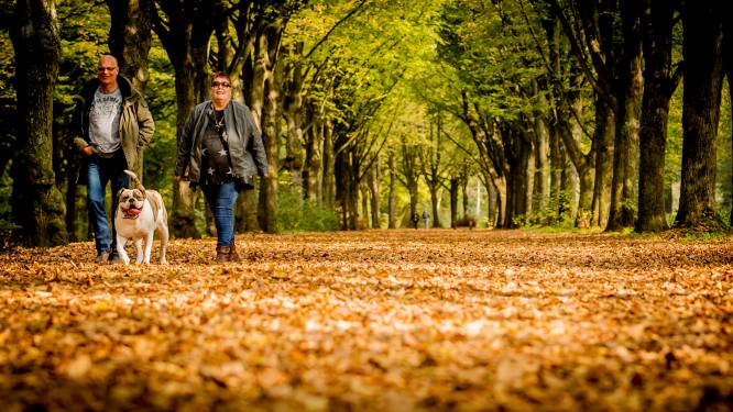 Zeer zacht herfstweer brengt buitjes met zich mee