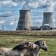 Federale regering wil ook drie oudste kerncentrales enkele winters langer openhouden