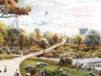 “Liever Papenhofpark of Meanderpark”: Deurnese districtsraad wil andere naam voor toekomstig Ringpark Het Schijn