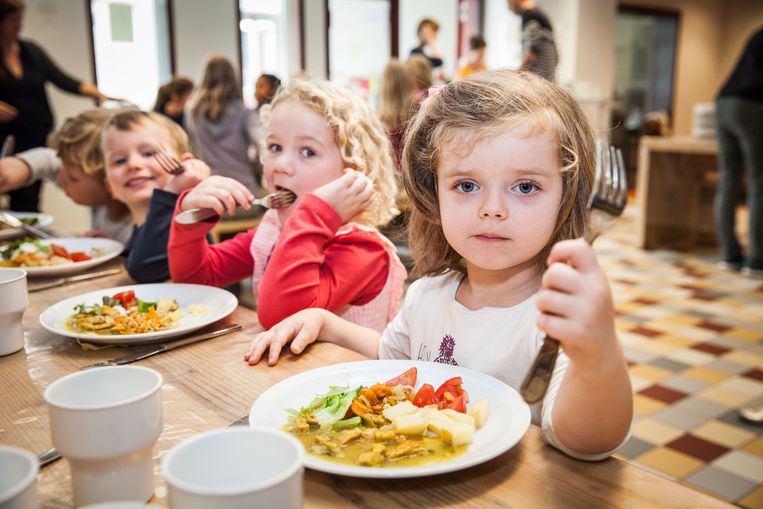 Pebish Petulance Negen Open Vld wil warme maaltijd op school voor elk kind | De Morgen