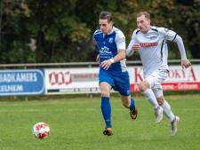 Nieuwe paardenbak en padelbanen in Zelhem en loods voor golfkarretjes in Hengelo