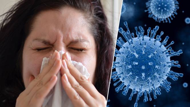 Grote studie bewijst: hoe droger de lucht, hoe meer verspreiding van griepvirussen