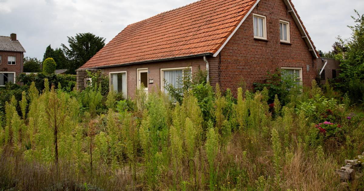 In Casteren kent niemand de borreltjes van bedrog - Eindhovens Dagblad