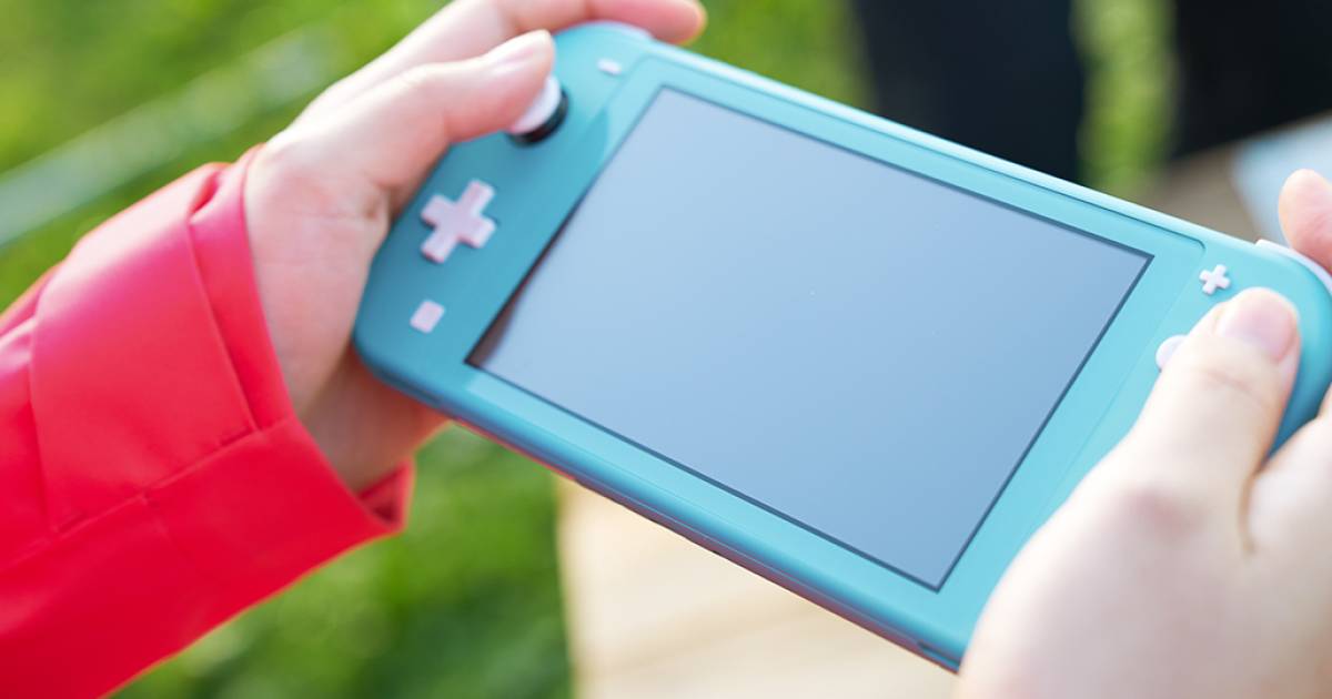 Nintendo lite switch bundle