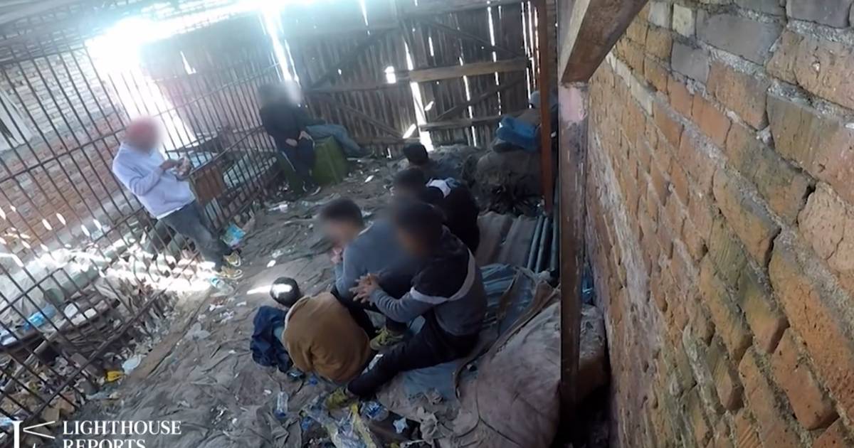 Il video mostra i rifugiati rinchiusi in gabbie in Bulgaria |  All’estero