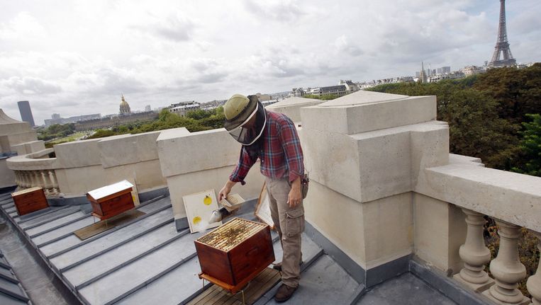 Een imker bij zijn bijenkorven op het dak van Grand Palais in Parijs. © ANP Beeld 