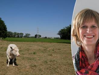 Wat is de natuurherstelwet en waarom is het plan zo omstreden? “Ik begrijp niet waar alle tegenstand plots vandaan komt”, zegt expert 