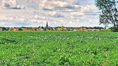 Niet twee, maar toch maar één zendmast bij Moerstraten voor een betere dekking