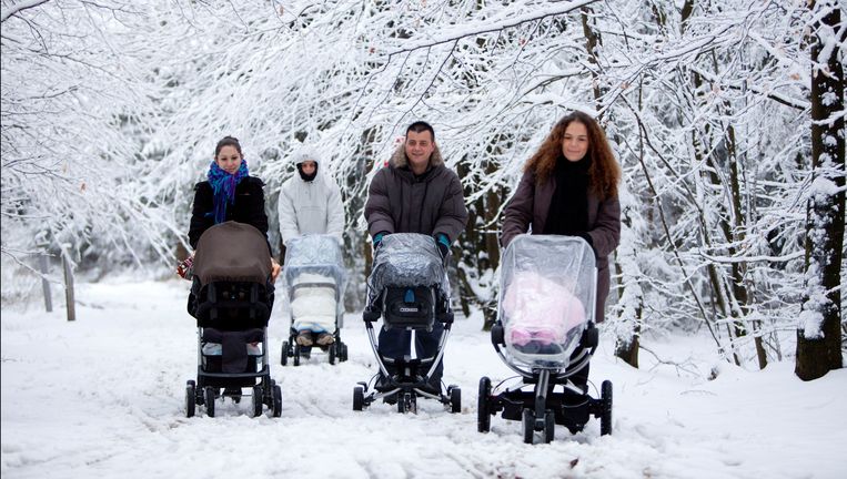 Sneeuw in de Ardennen Beeld photo_news