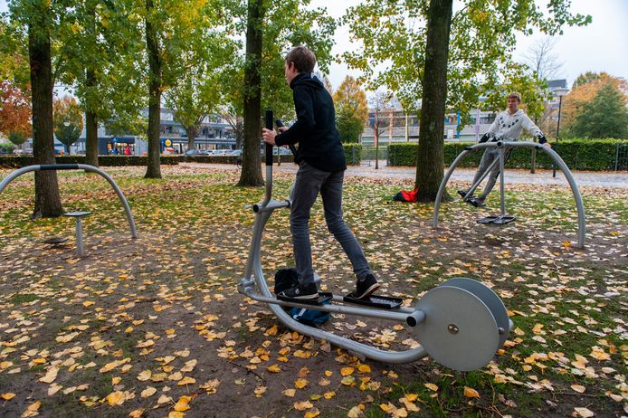De populieren kunnen in het nieuwe plan blijven staan.