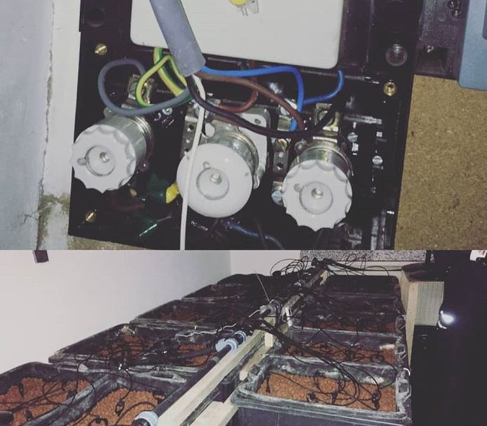 In een woning aan de Regge in Tilburg is een hennepkwekerij ontdekt.