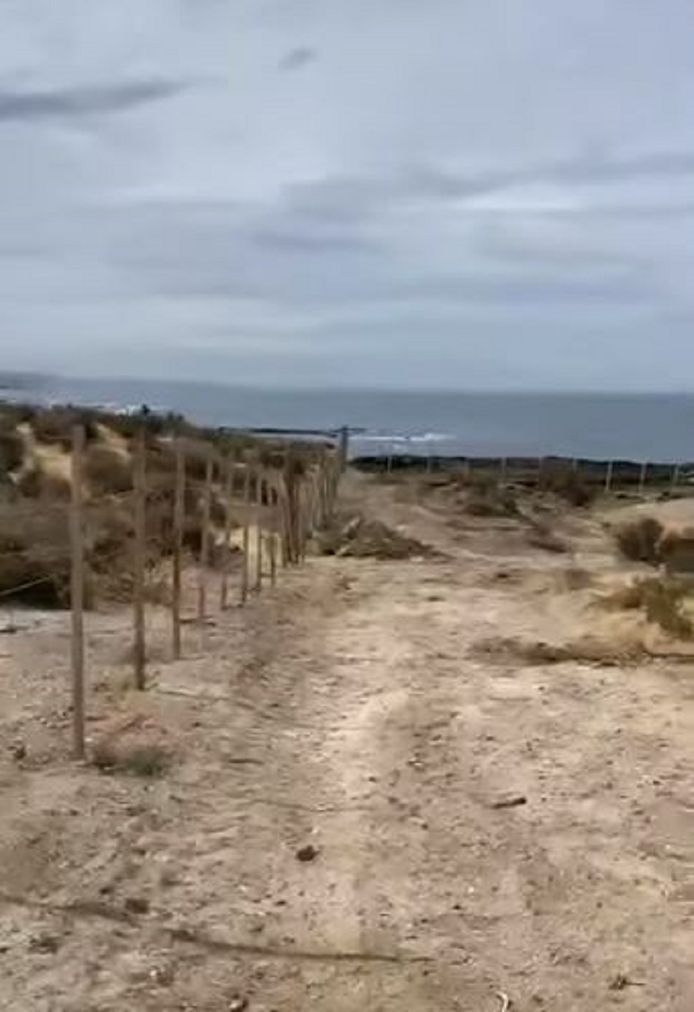 De aangelegde weg met ernaast het hek met schrikdraad.